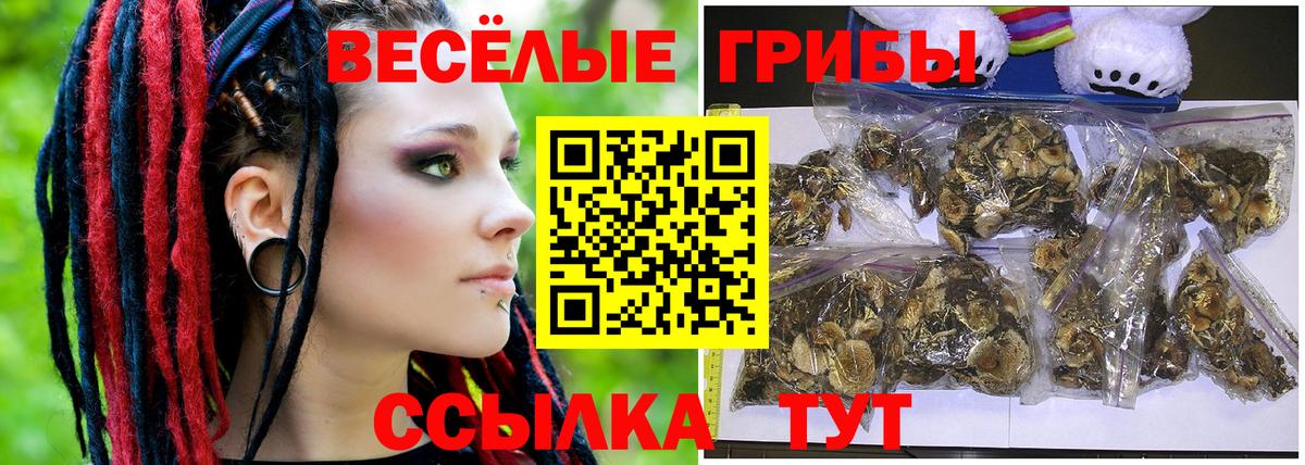 Бирск  где купить наркоту  Вход с VPN  Галлюциногенные грибы мухоморы 