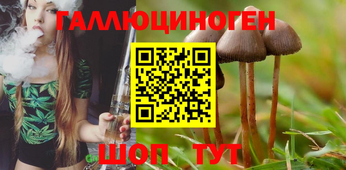 Амфетамин кристаллы  ГАШ  Меф  Вход с VPN  МЕТ  Героин  Гашиш  LSD-25  Бирск  КОКАИН  Бошки Шишки  Меф   Где продают наркотики? 